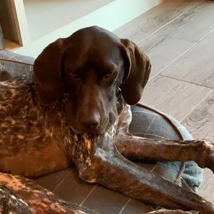 Meet your Posher, Jared